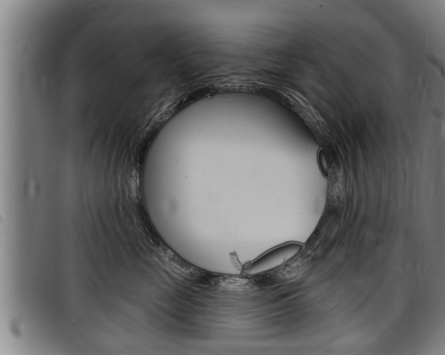 X0000098110669200804040803