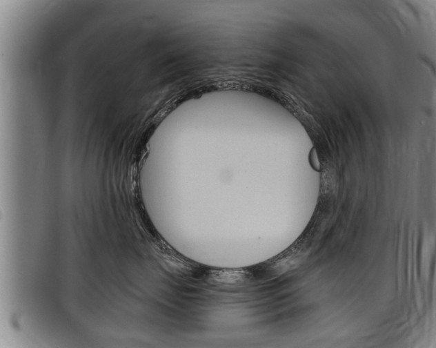 X0000098110671200804040803