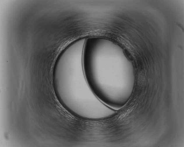 X0000098110673200804040802