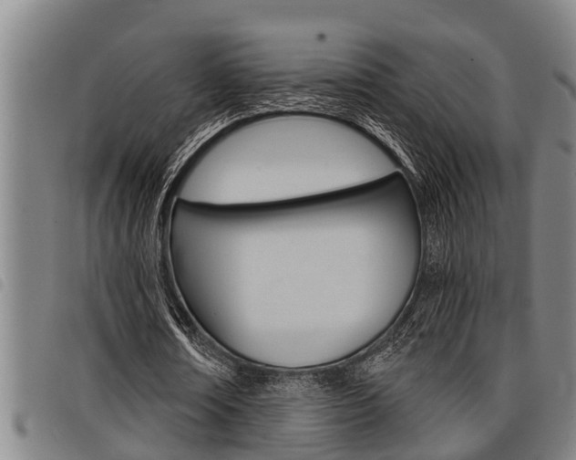 X0000098110674200804040802