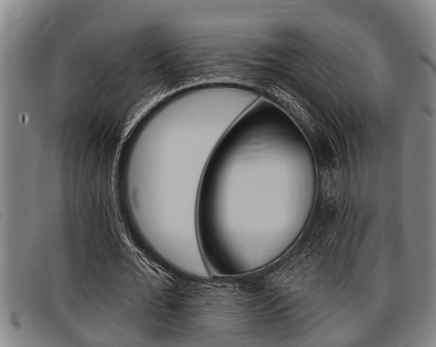 X0000098110676200804040802