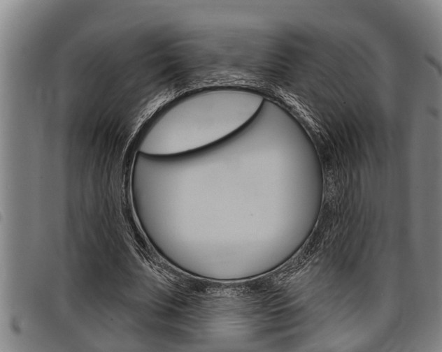 X0000098110679200804040802