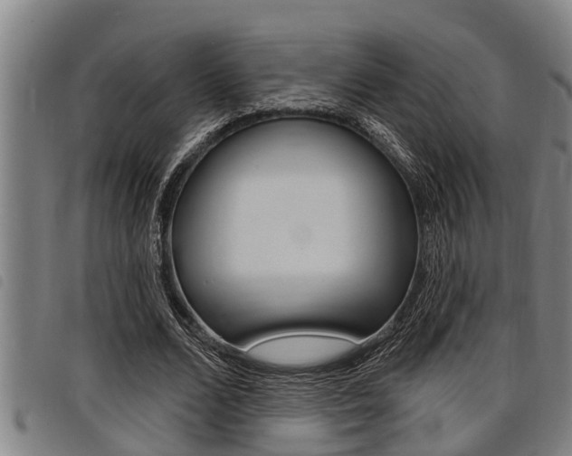 X0000098110680200804040802