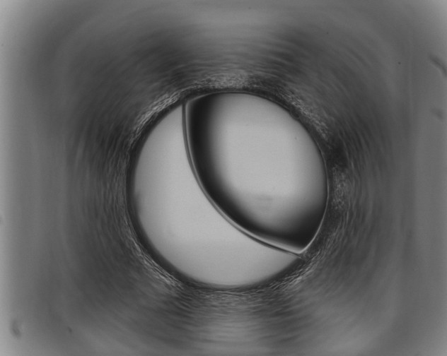 X0000098110681200804040802