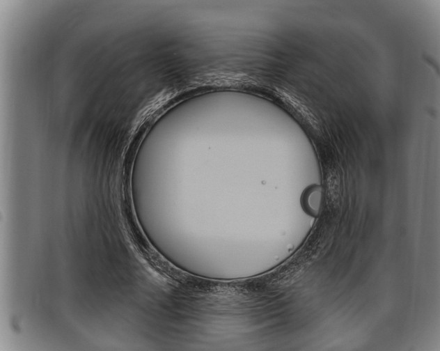 X0000098110682200804040802