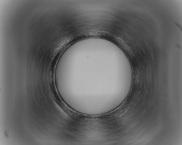 X0000098110683200804040802