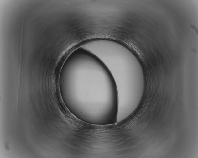 X0000098110684200804040802
