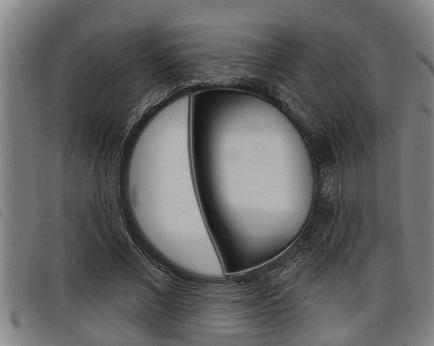 X0000098110685200804040802