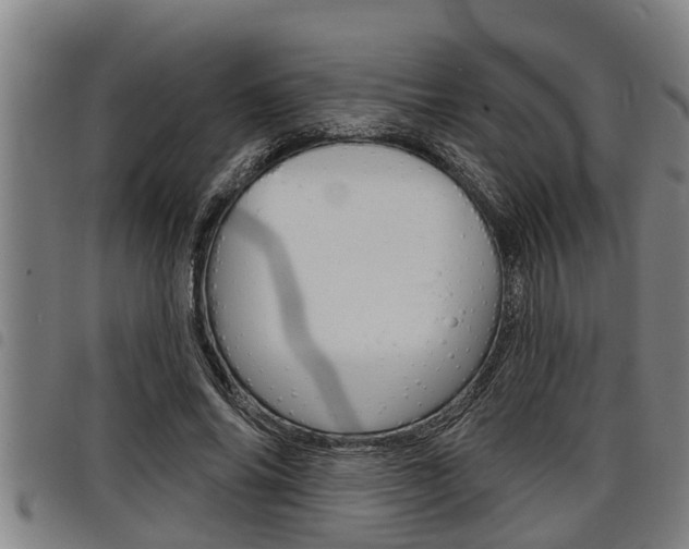 X0000098110686200804040802