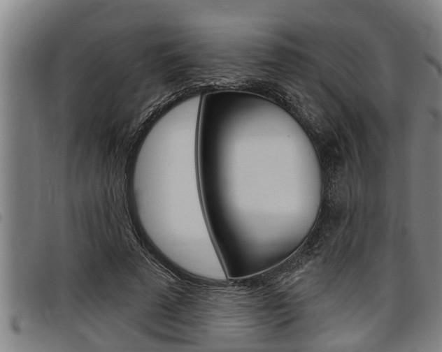 X0000098110689200804040802