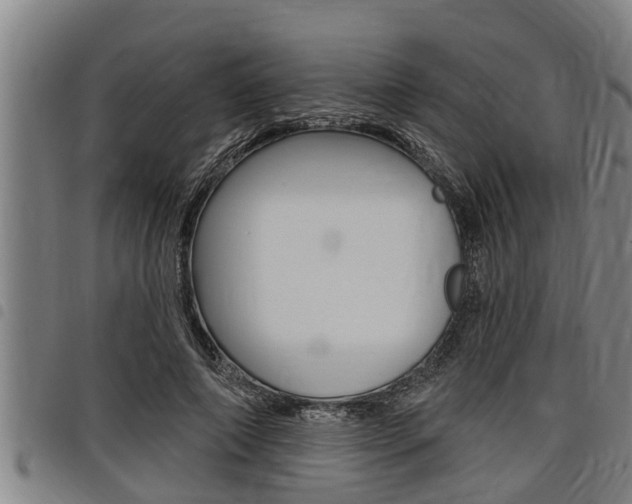 X0000098110690200804040802