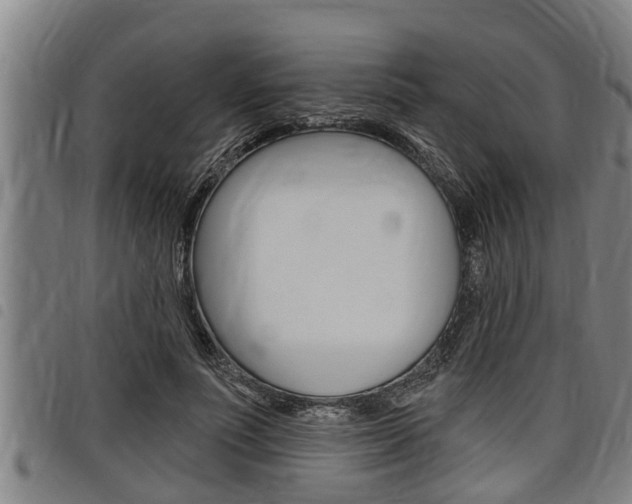 X0000098110691200804040802