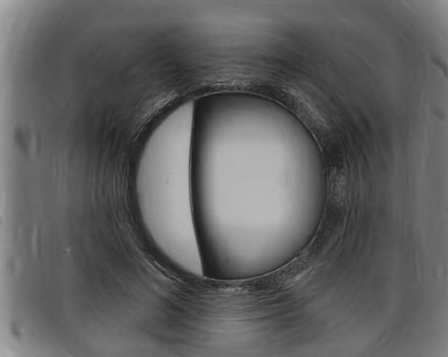 X0000098110692200804040802