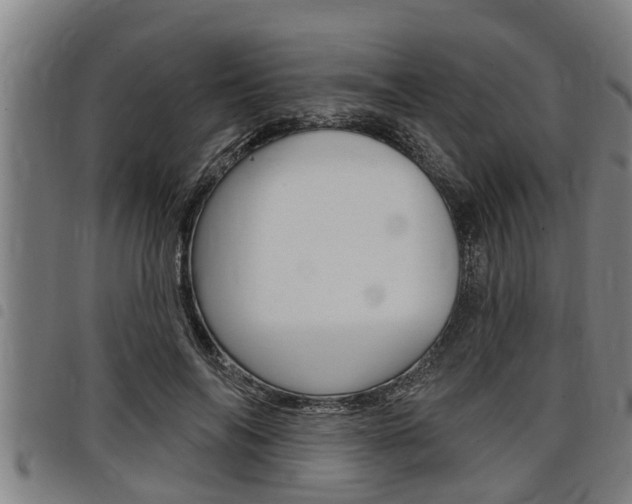 X0000098110694200804040802