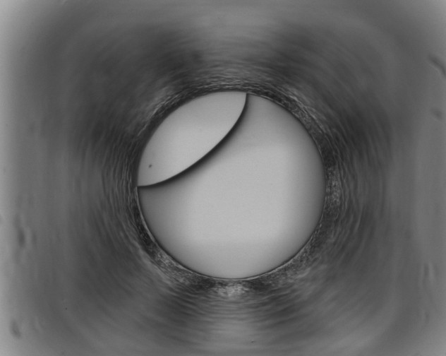 X0000098110695200804040802