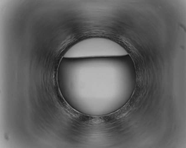 X0000098110696200804040801