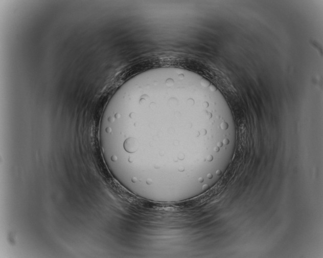 X0000098110698200804040801