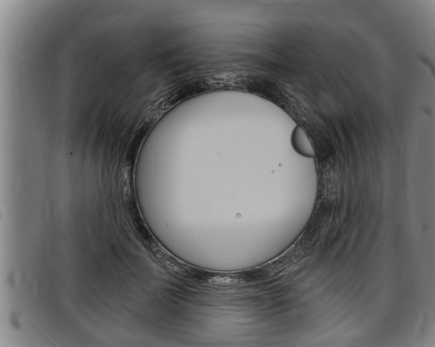 X0000098110699200804040801