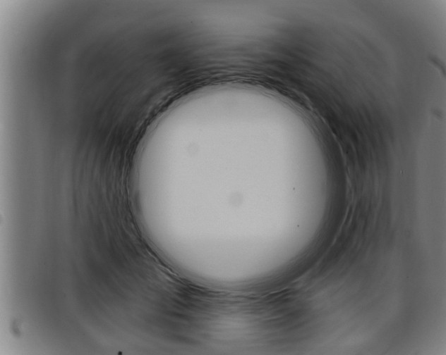 X0000098110701200804040801