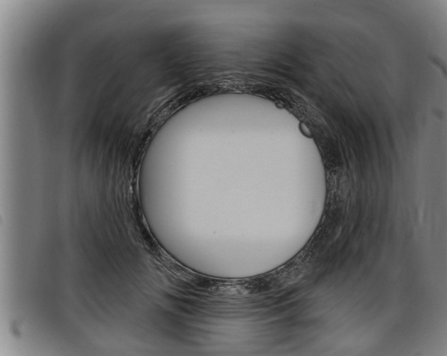 X0000098110702200804040801