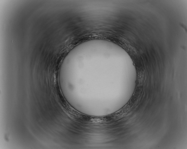X0000098110703200804040801