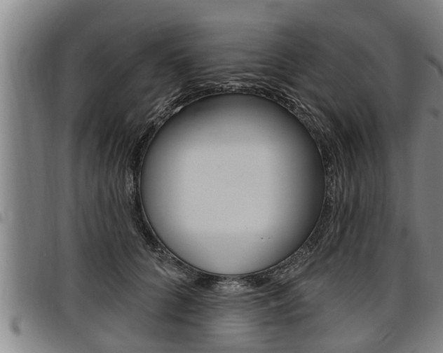 X0000098110704200804040801
