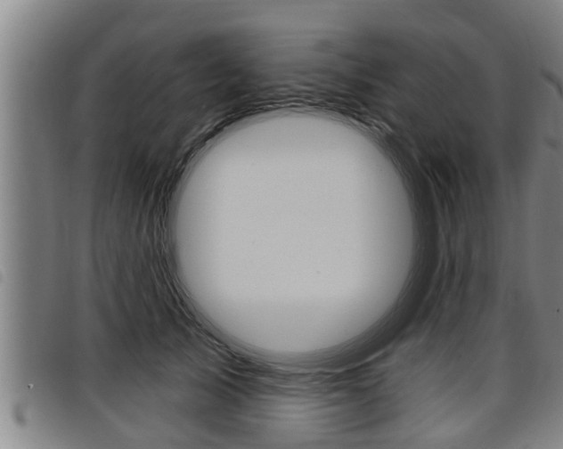 X0000098110705200804040801