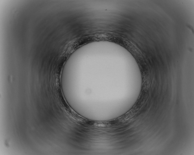X0000098110706200804040801