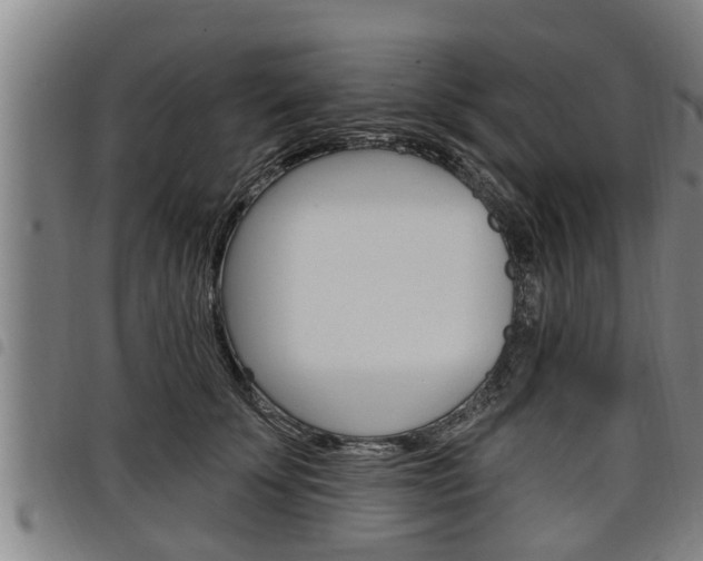 X0000098110707200804040801