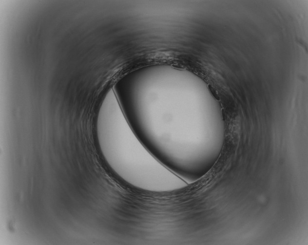 X0000098110708200804040801