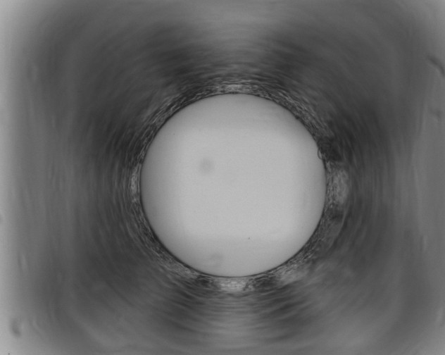 X0000098110709200804040801