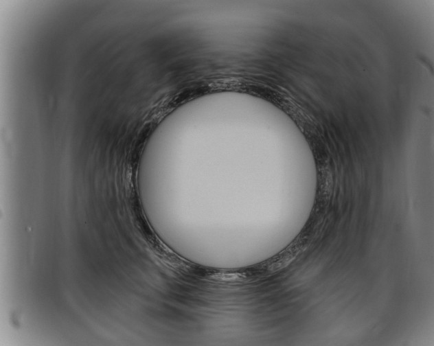 X0000098110711200804040801
