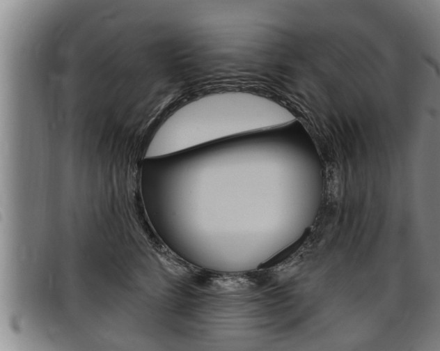 X0000098110712200804040801
