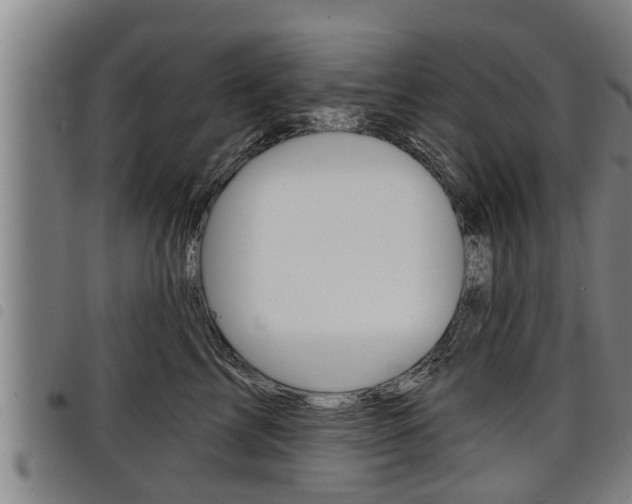 X0000098110713200804040801
