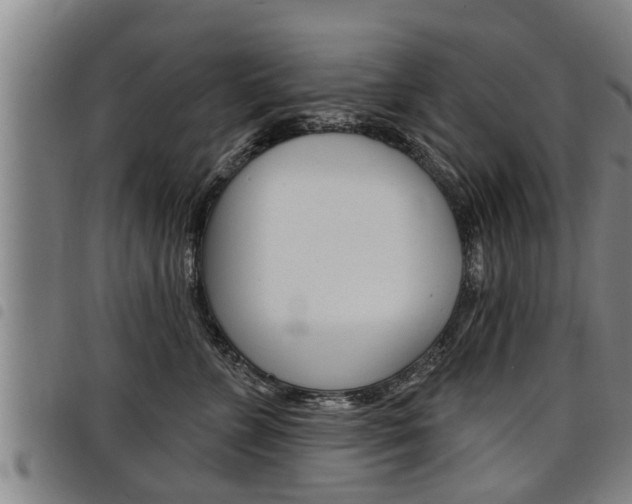 X0000098110715200804040801