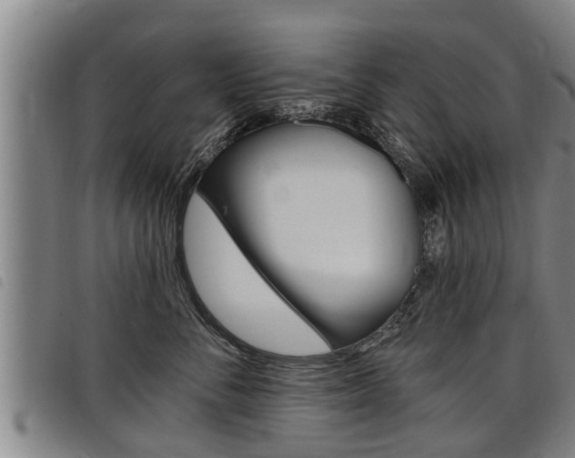 X0000098110716200804040801