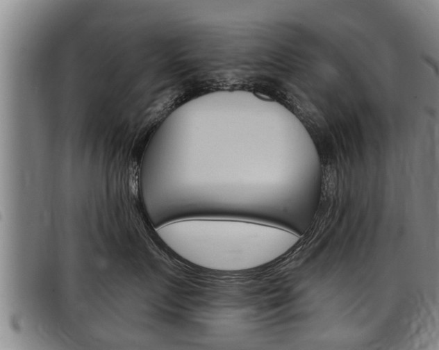 X0000098110719200804040801