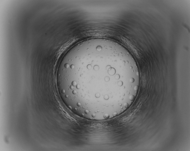 X0000098110721200804040800