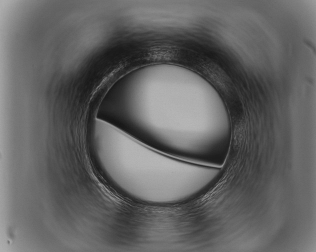 X0000098110722200804040800