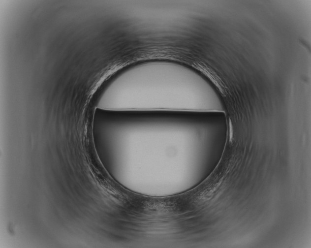 X0000098110723200804040800