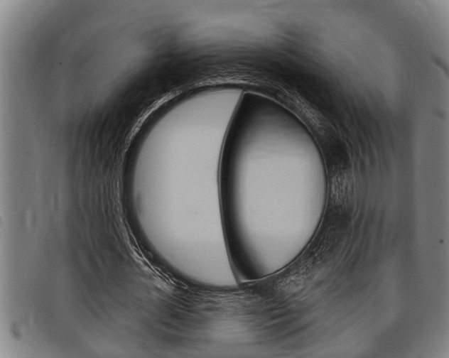 X0000098110724200804040800