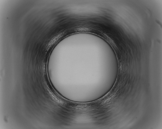 X0000098110725200804040800