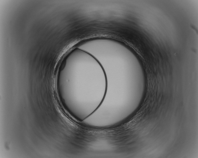 X0000098110726200804040800