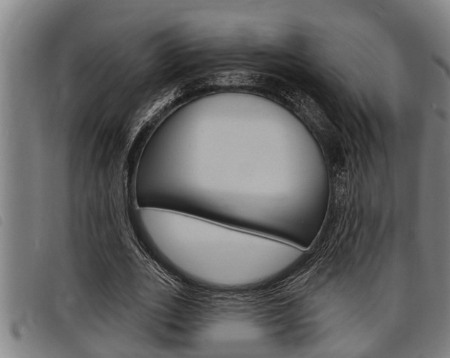 X0000098110727200804040800