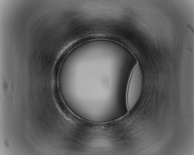 X0000098110728200804040801