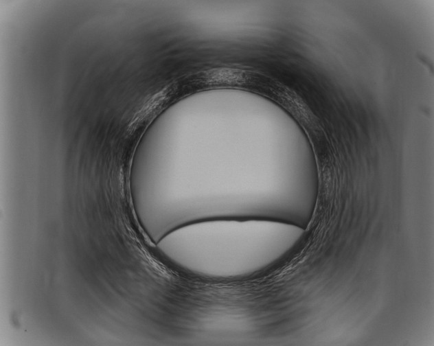 X0000098110729200804040801