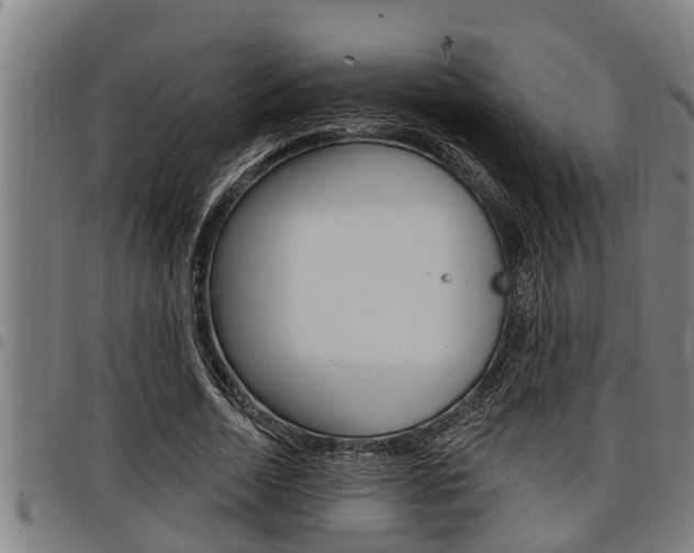 X0000098110730200804040801