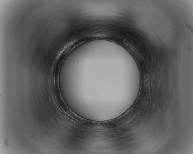 X0000098110731200804040801