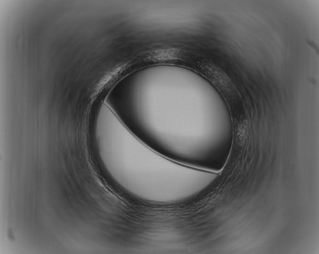 X0000098110732200804040801