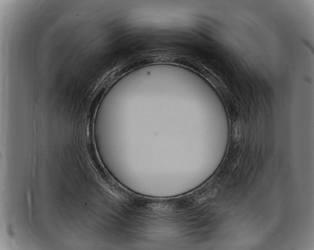 X0000098110733200804040801